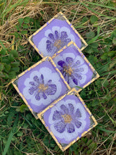 Purple Pansy Coasters